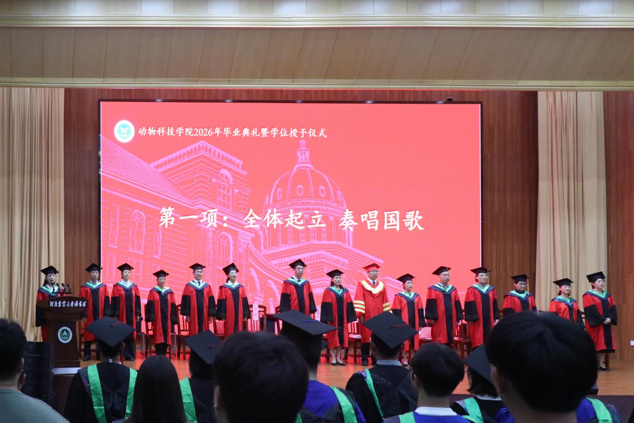 GGPoker下载