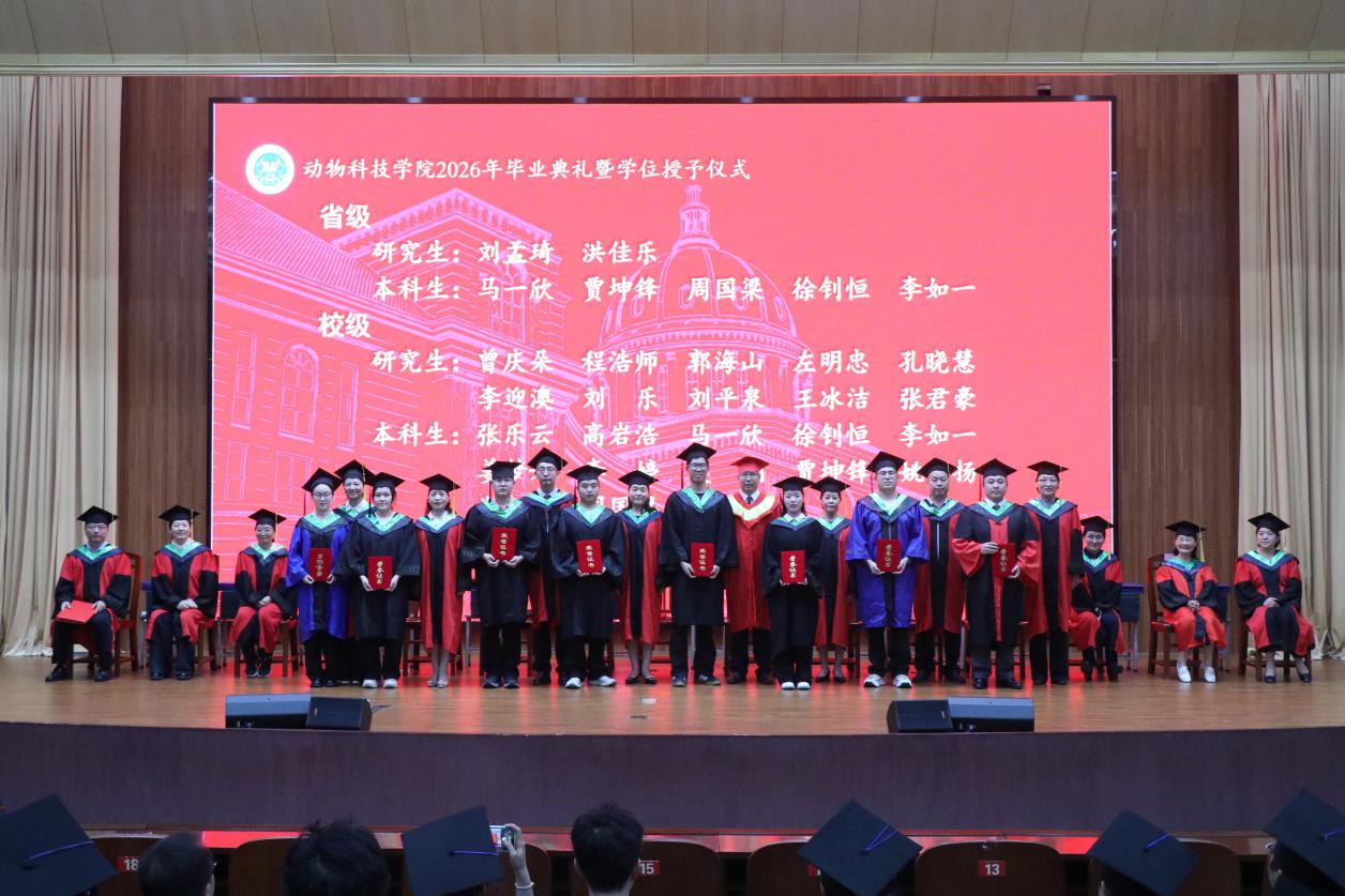 GGPoker下载
