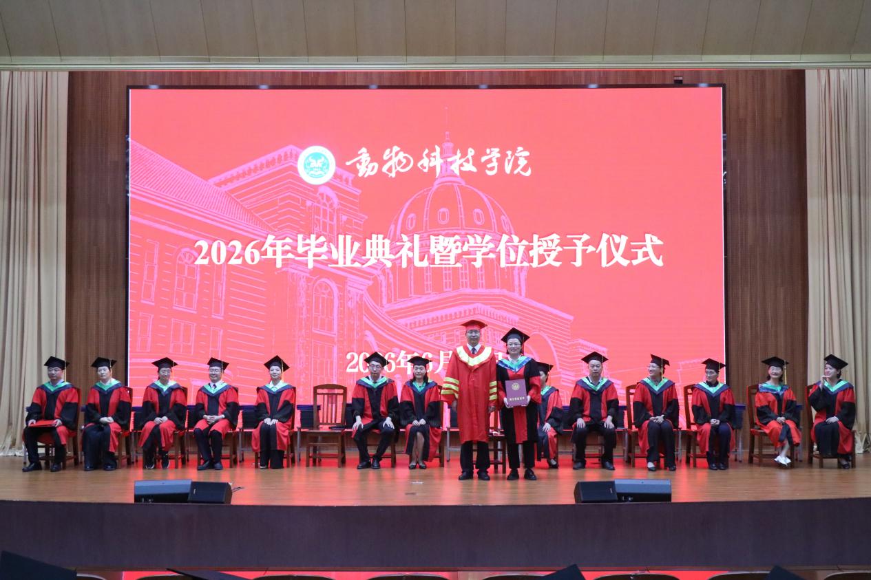 GGPoker下载