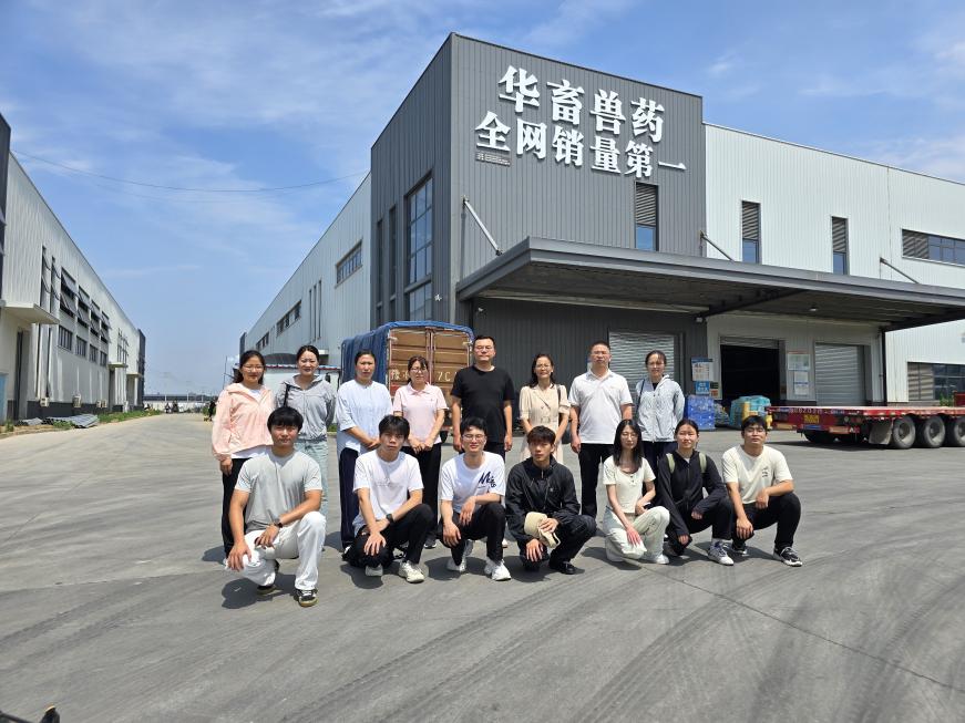 GGPoker下载