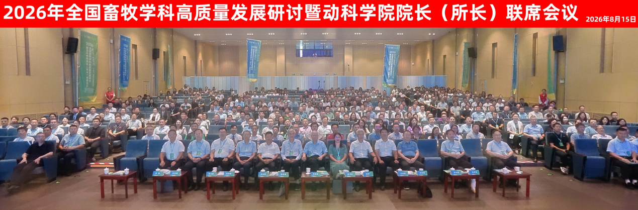 GGPoker下载